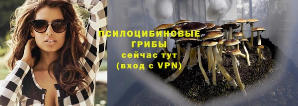 сатива Нефтегорск