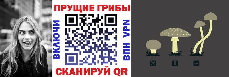 Псилоцибиновые грибы Psilocybine cubensis  Семикаракорск 